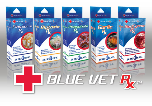 Blue Life / Blue Vet Rx
